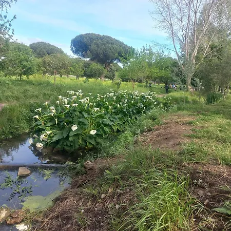Appartamento A Casa Di Mori *